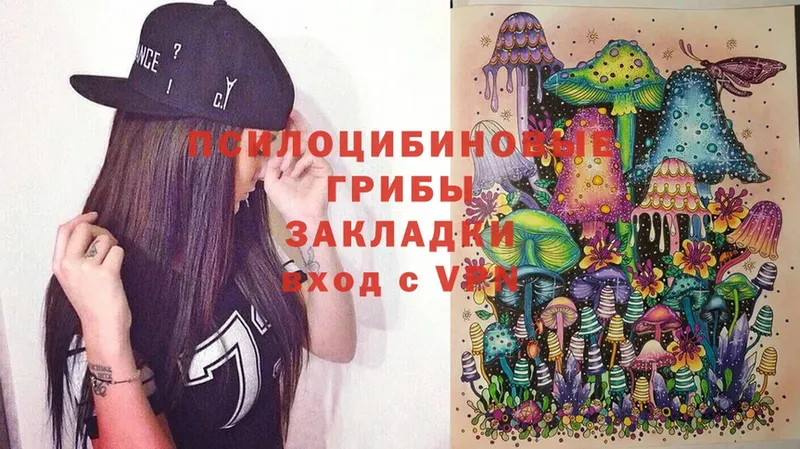 Псилоцибиновые грибы Psilocybe  хочу   Камышлов 